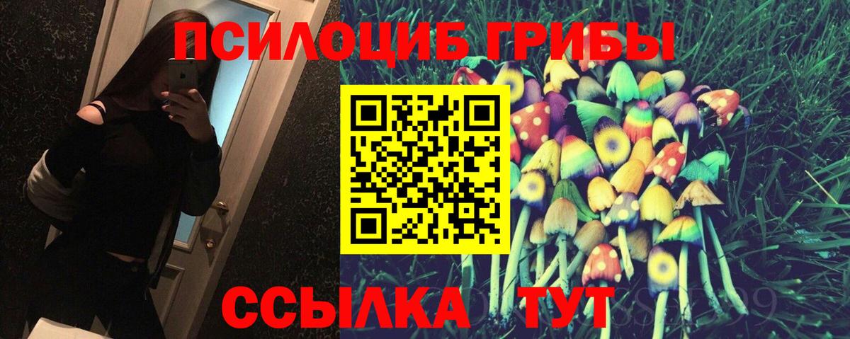 Псилоцибиновые грибы Psilocybe  Вход с VPN  Галлюциногенные грибы MAGIC MUSHROOMS  Лесозаводск 